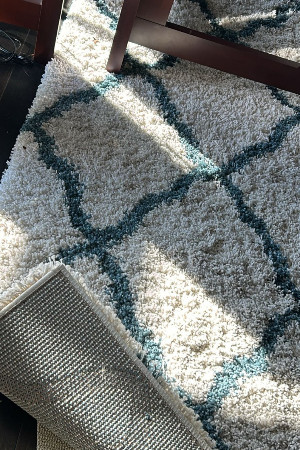 David's Oriental Rug Pros David's Oriental Rug Pros, Area rug cleaning in pico rivera